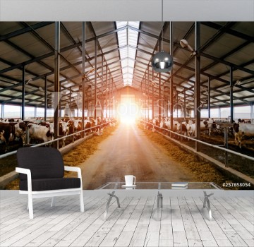Picture of Breeding of cows in free livestock stall 